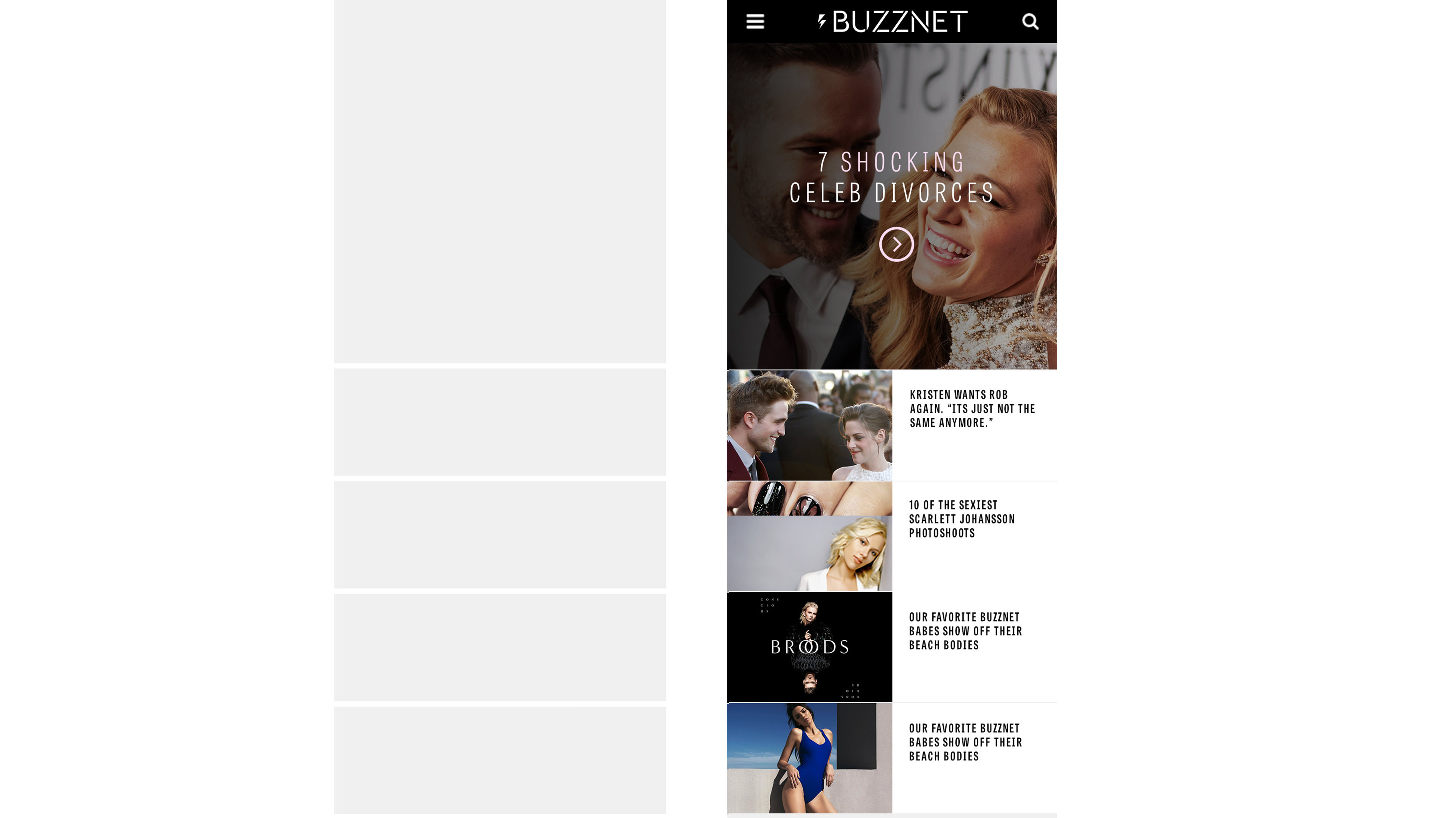 BuzzNet Website Redesign by Titus Klein